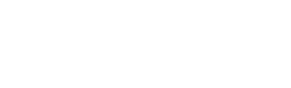 Logo de Rhino, produits en carbone